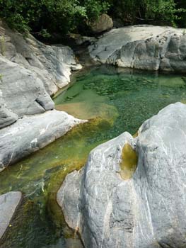 torrente argentina 04